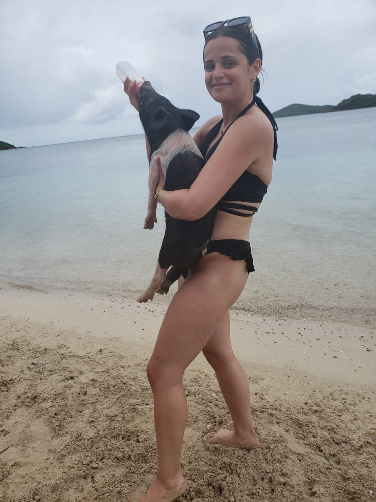 Pig in Paradise Excursions